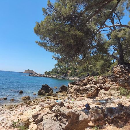 Charmant Studio 2A4 Pers Avec Jardin Et Place De Parking Situe A 5 Min A Pied De La Mer Bandol Kültér fotó