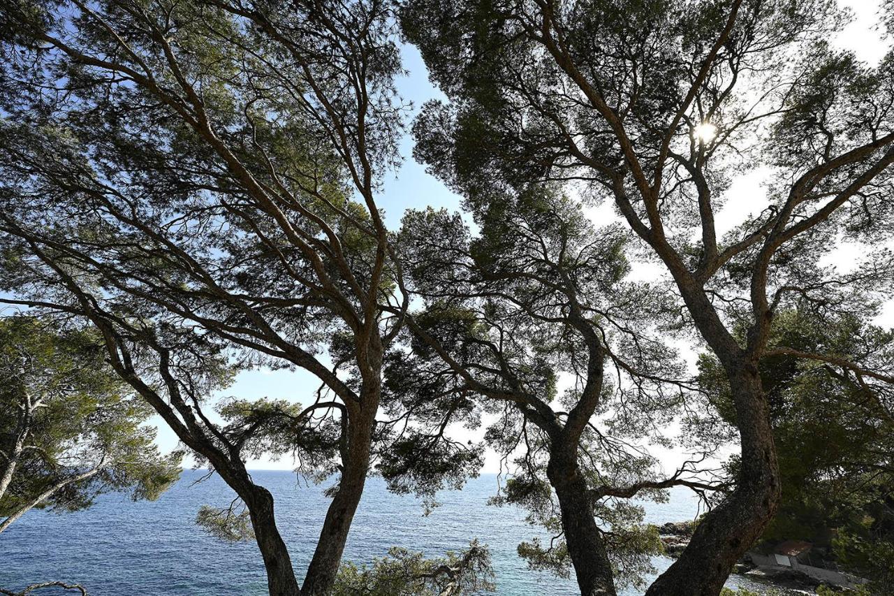 Charmant Studio 2A4 Pers Avec Jardin Et Place De Parking Situe A 5 Min A Pied De La Mer Bandol Kültér fotó