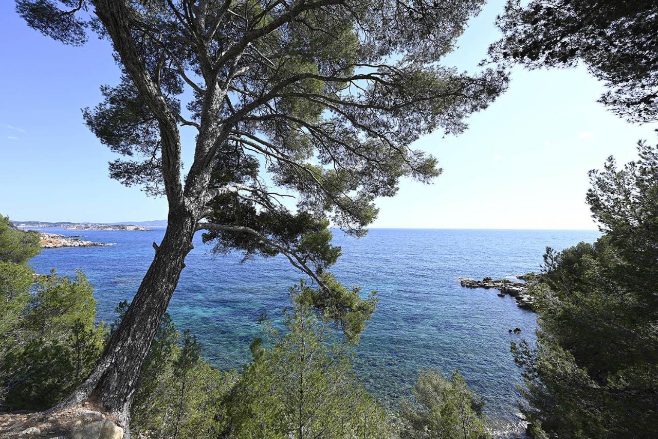 Charmant Studio 2A4 Pers Avec Jardin Et Place De Parking Situe A 5 Min A Pied De La Mer Bandol Kültér fotó