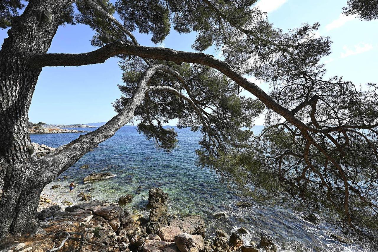 Charmant Studio 2A4 Pers Avec Jardin Et Place De Parking Situe A 5 Min A Pied De La Mer Bandol Kültér fotó