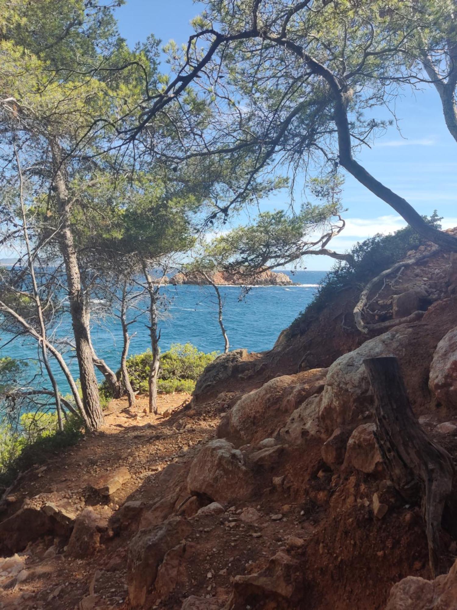 Charmant Studio 2A4 Pers Avec Jardin Et Place De Parking Situe A 5 Min A Pied De La Mer Bandol Kültér fotó